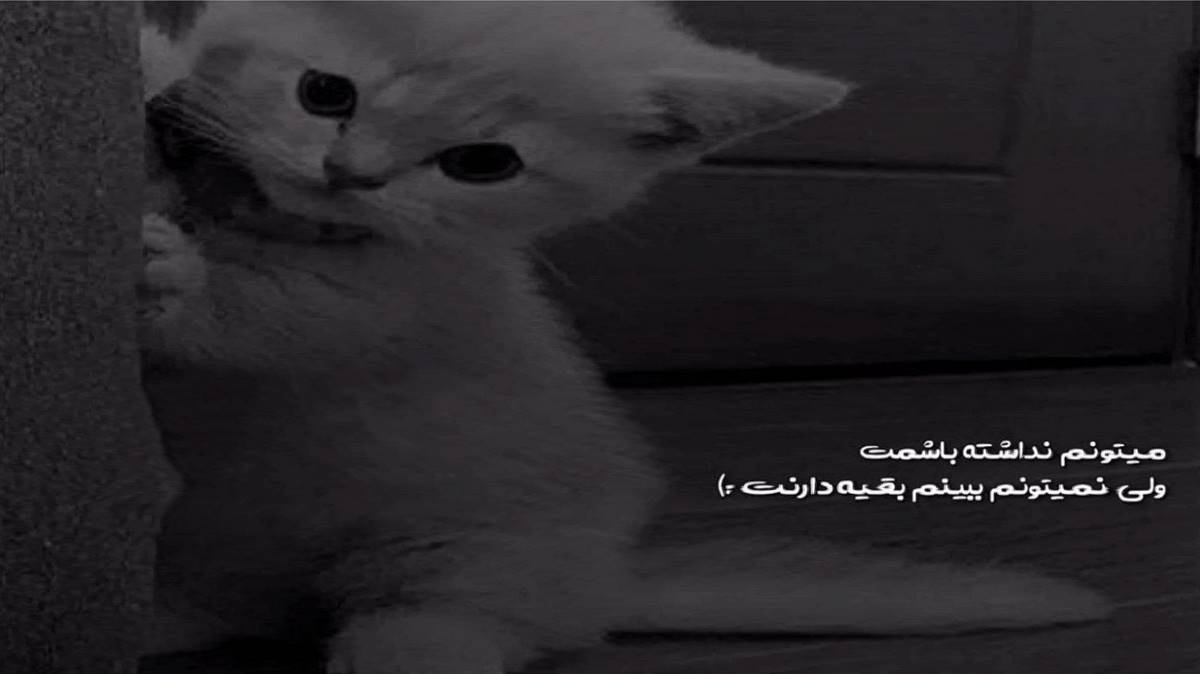  نگو نگو راز نگو افغانی با صدای زن